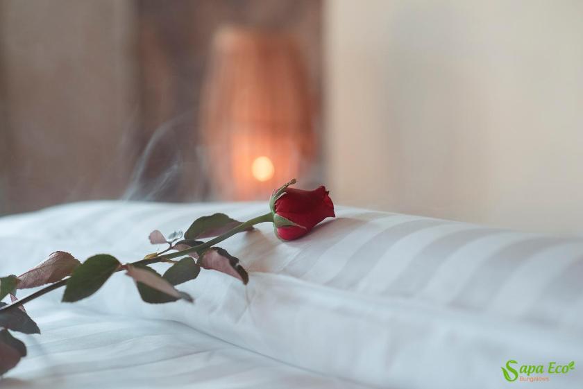 Suite nhìn ra núi