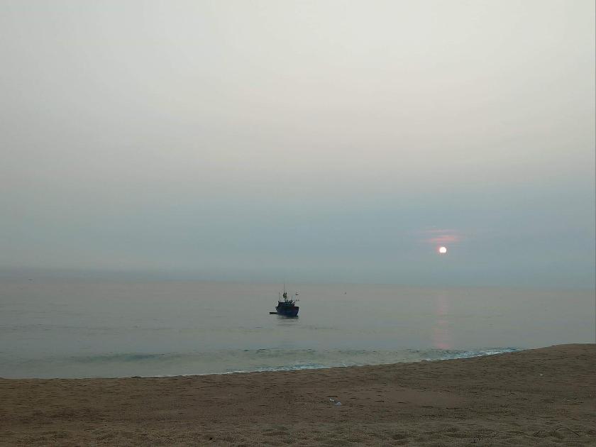 Phòng Đơn Nhìn Ra Vườn