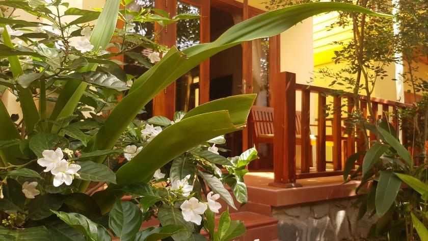 Phòng Deluxe Giường Đôi Phòng Deluxe Giường Đôi