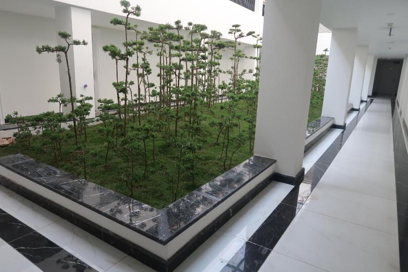 Suite Có Giường Cỡ King