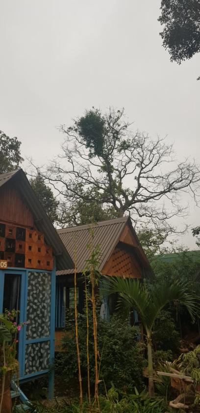 Phòng Giường Đôi Nhìn Ra Vườn Phòng Giường Đôi Nhìn Ra Vườn