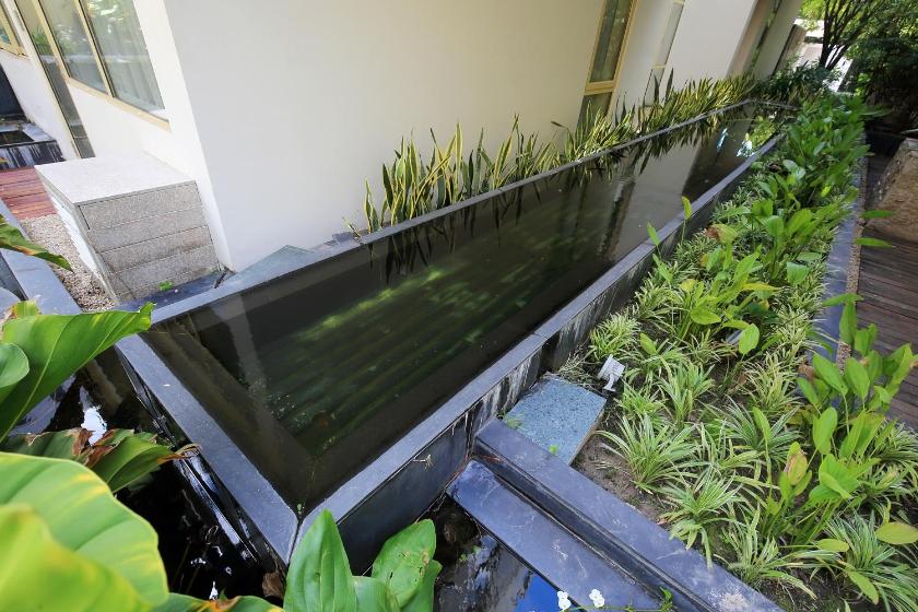 Phòng Junior Giường Đôi Nhìn ra Vườn