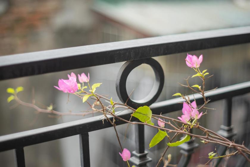 Căn Hộ Studio Căn Hộ Studio