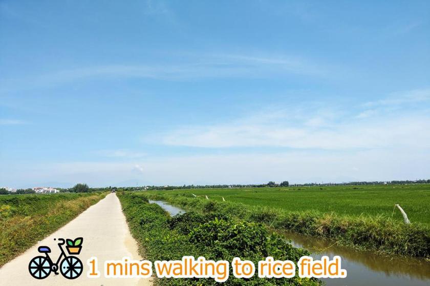 Phòng Deluxe Giường Đôi/2 Giường Đơn Phòng Deluxe Giường Đôi/2 Giường Đơn