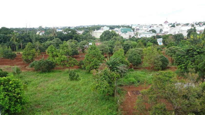 Phòng Đơn Nhìn Ra Vườn