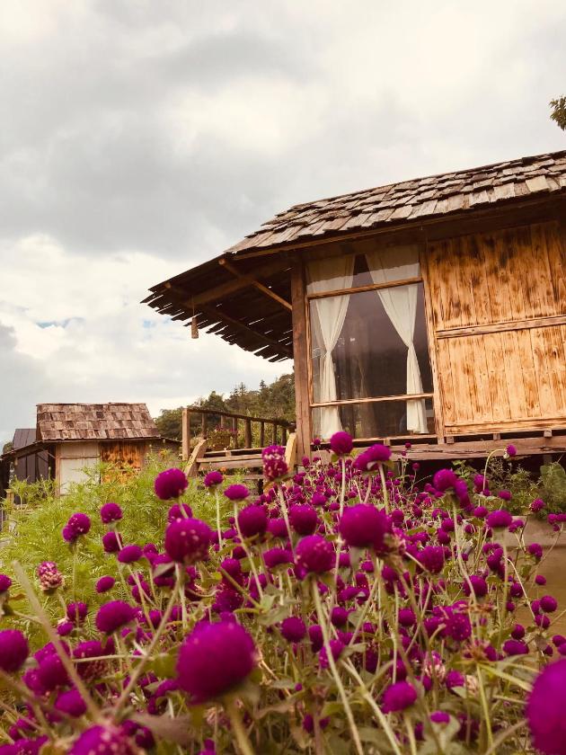 Bungalow Tiêu Chuẩn  Bungalow Tiêu Chuẩn