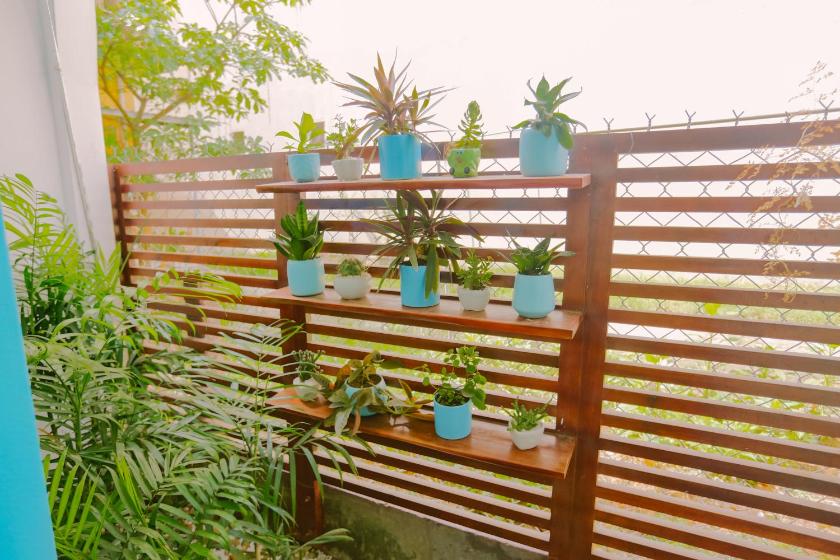 Phòng Có Giường Cỡ King Nhìn Ra Vườn Phòng Có Giường Cỡ King Nhìn Ra Vườn