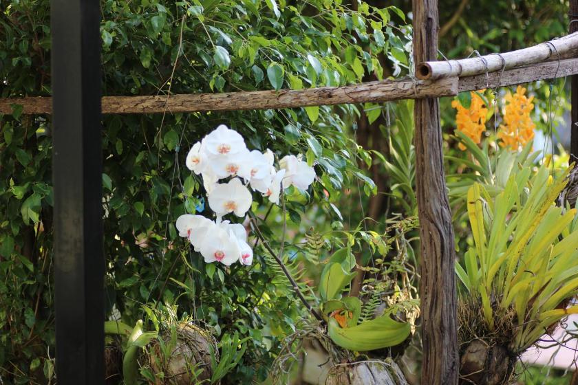 Bungalow Gia Đình Bungalow Gia Đình