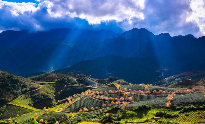 Giường Đơn Trong Phòng Nghỉ Tập Thể Cho Cả Nam Và Nữ