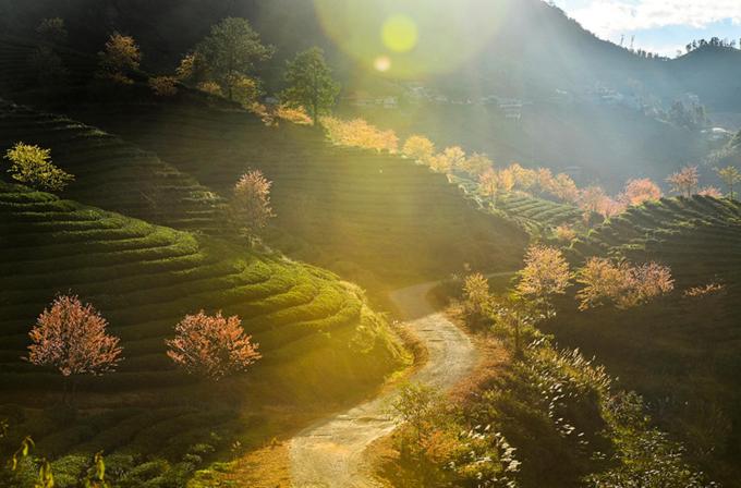 Giường Đơn Trong Phòng Nghỉ Tập Thể Cho Cả Nam Và Nữ Giường Đơn Trong Phòng Nghỉ Tập Thể Cho Cả Nam Và Nữ