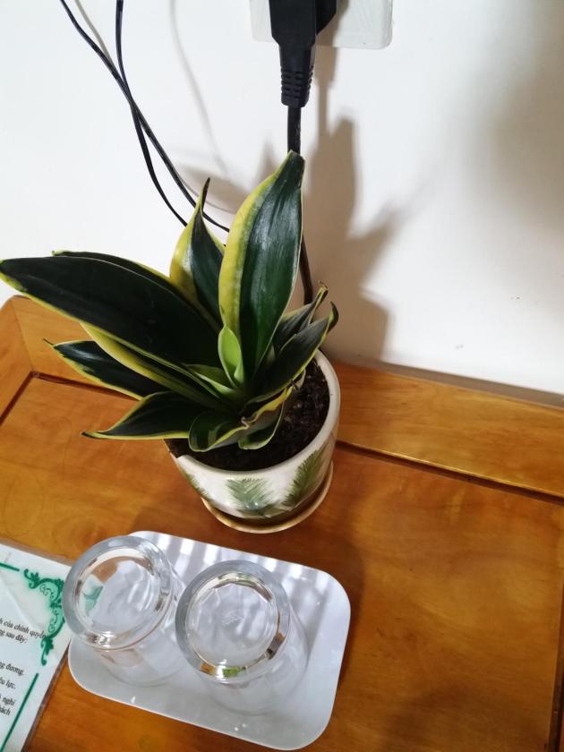 Phòng Giường Đôi Nhìn Ra Vườn