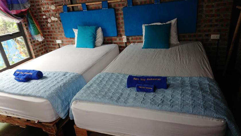 Phòng 2 Giường Đơn Nhìn Ra Khu Vườn Phòng 2 Giường Đơn Nhìn Ra Khu Vườn