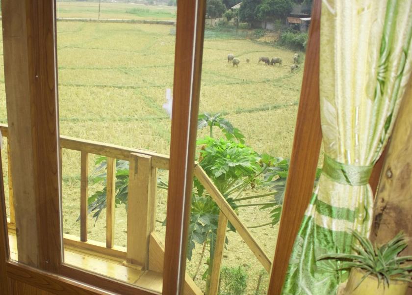 Phòng Đơn Với Phòng Tắm Chung