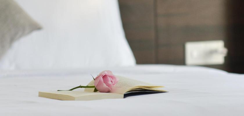 Studio Nhìn Ra Núi