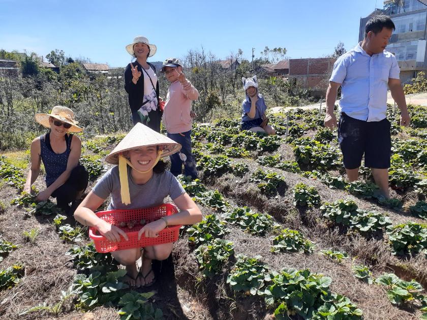 Phòng Tiêu Chuẩn Giường Đơn Nhìn Ra Núi