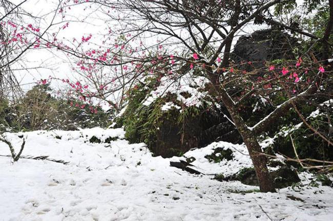 Phòng Gia Đình Tiêu Chuẩn Phòng Gia Đình Tiêu Chuẩn