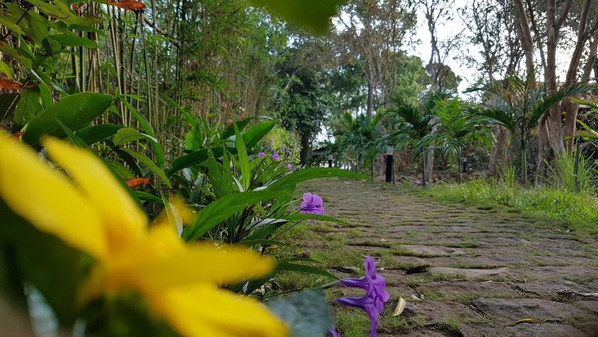 Bungalow Superior Nhìn Ra Khu Vườn