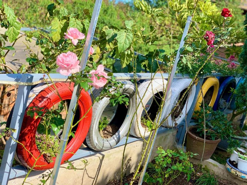 Phòng 4 Người Có Phòng Tắm Riêng Phòng 4 Người Có Phòng Tắm Riêng