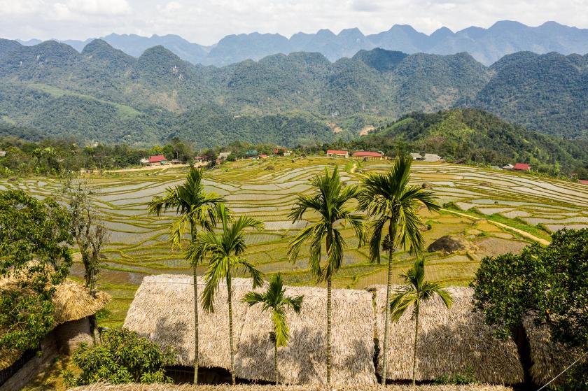 Giường Đơn Trong Phòng Nghỉ Tập Thể Cho Cả Nam Và Nữ