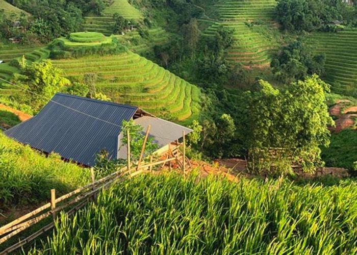 Giường Đơn Trong Phòng Ngủ Tập Thể 10 Giường