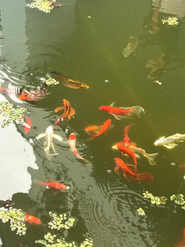 Biệt Thự 2 Phòng Ngủ Biệt Thự 2 Phòng Ngủ