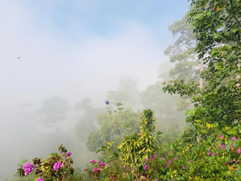 Phòng Gia đình nhìn ra Núi Phòng Gia đình nhìn ra Núi