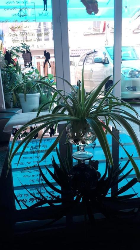 Phòng 4 Người Có Phòng Tắm Phòng 4 Người Có Phòng Tắm