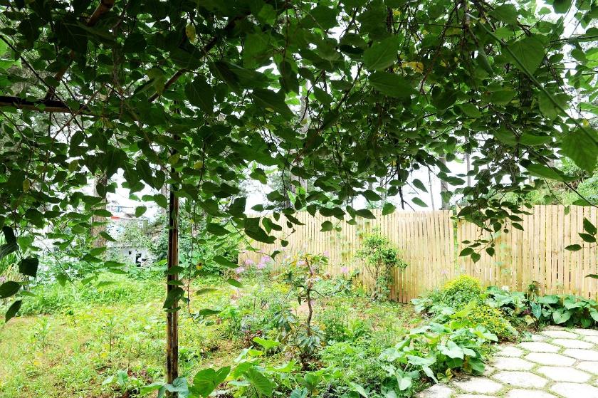 Căn Hộ 2 Phòng Ngủ Căn Hộ 2 Phòng Ngủ