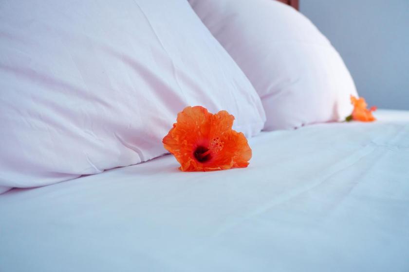 Phòng Superior Có Giường Cỡ King Phòng Superior Có Giường Cỡ King