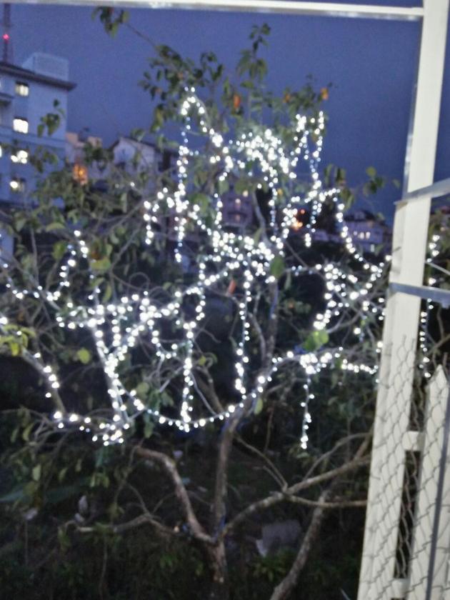 Căn Hộ 2 Phòng Ngủ Căn Hộ 2 Phòng Ngủ