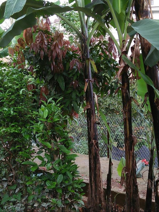 Căn Hộ 2 Phòng Ngủ