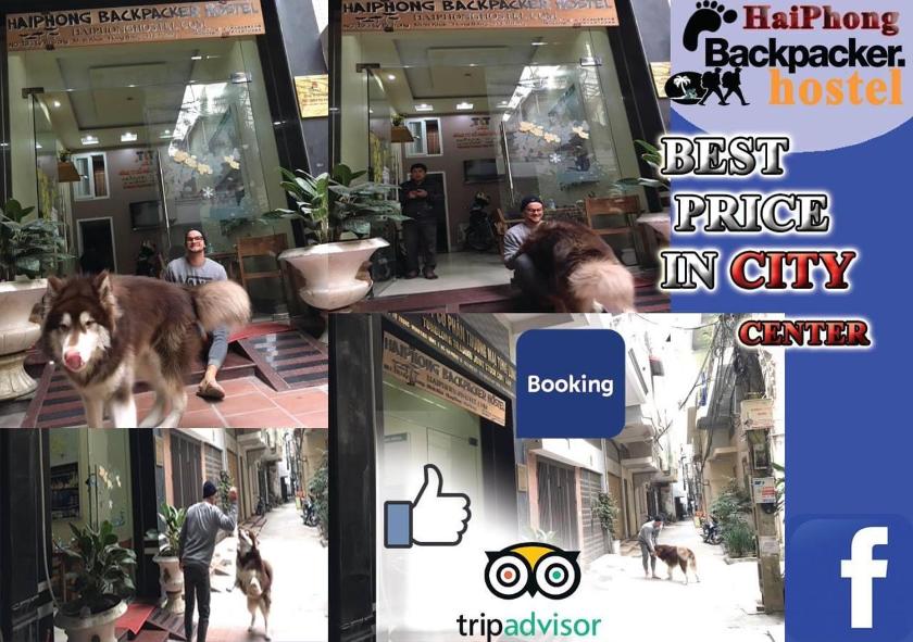 Giường Trong Phòng Ngủ Tập Thể 10 Giường Cho Cả Nam Lẫn Nữ Giường Trong Phòng Ngủ Tập Thể 10 Giường Cho Cả Nam Lẫn Nữ