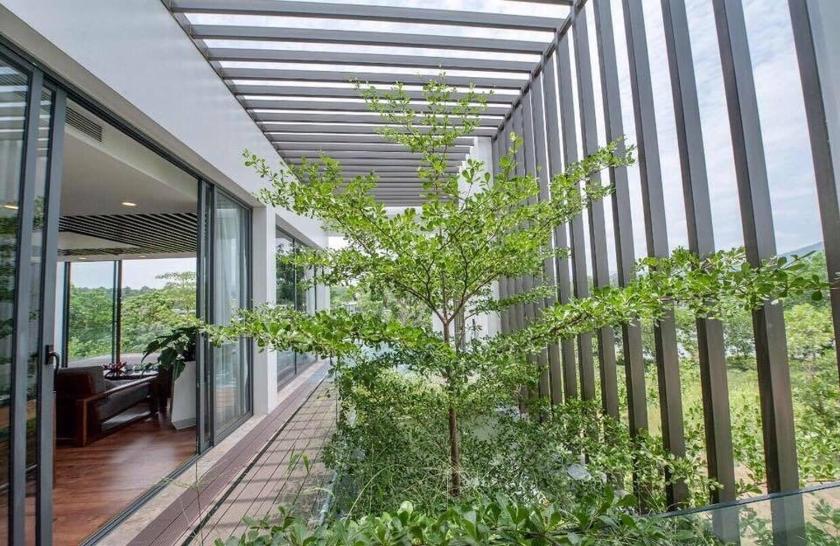 Biệt Thự 3 Phòng Ngủ Biệt Thự 3 Phòng Ngủ