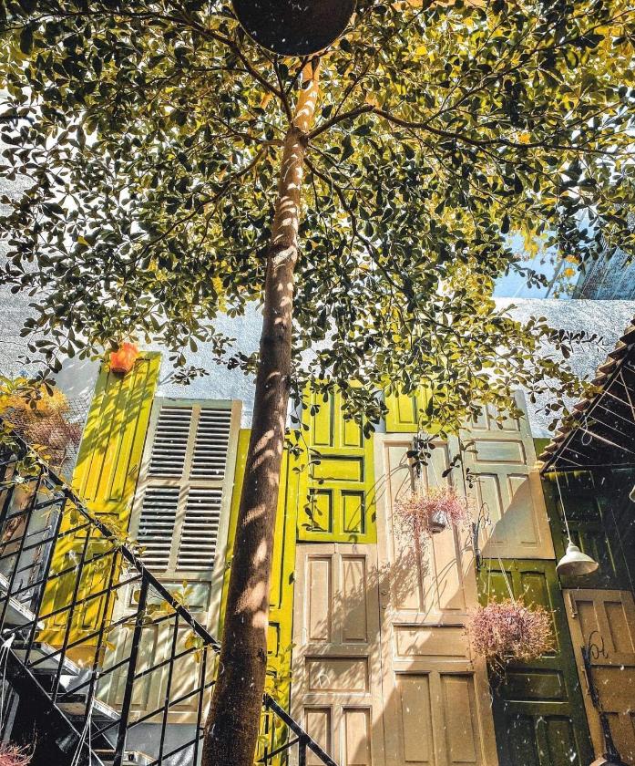 Phòng Ngủ Tập Thể 6 Giường Cho Cả Nam Và Nữ