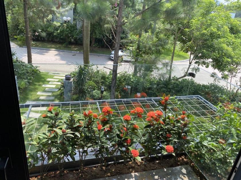 Biệt Thự Có Hồ Bơi Riêng