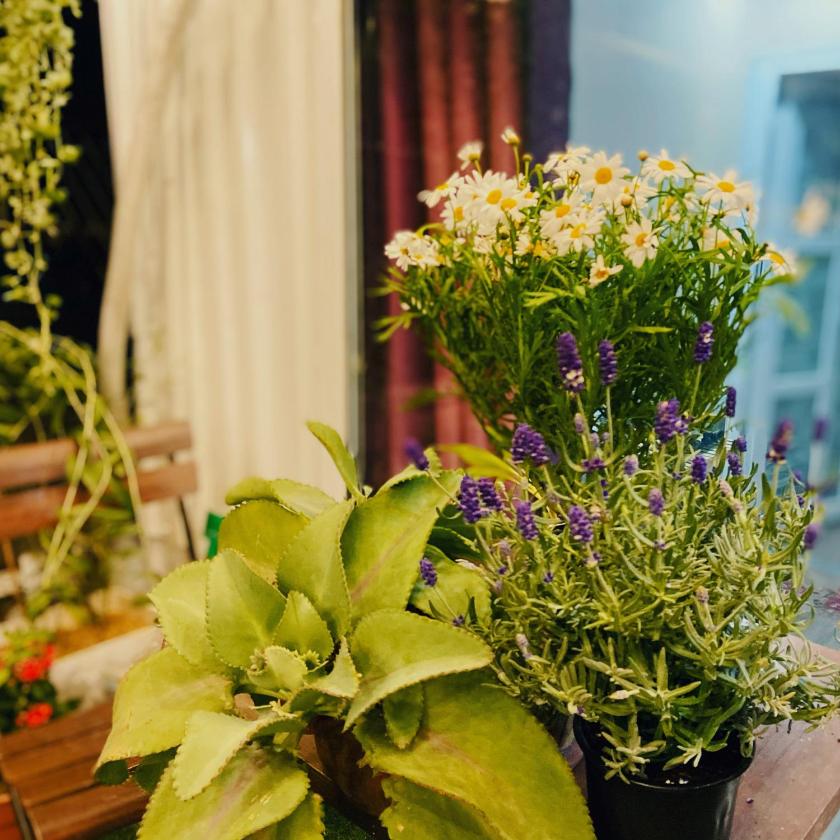 Giường Trong Phòng Ngủ Tập Thể 10 Giường Cho Cả Nam Lẫn Nữ Giường Trong Phòng Ngủ Tập Thể 10 Giường Cho Cả Nam Lẫn Nữ