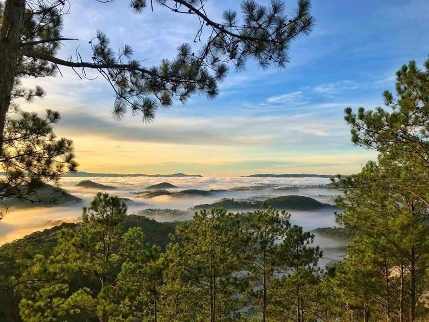 Biệt Thự 1 Phòng Ngủ