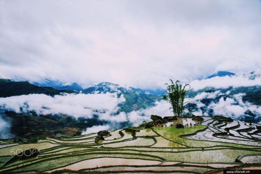 Phòng 4 người Nhìn ra cảnh Núi non