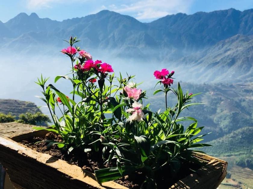 Phòng Deluxe Gia đình Phòng Deluxe Gia đình