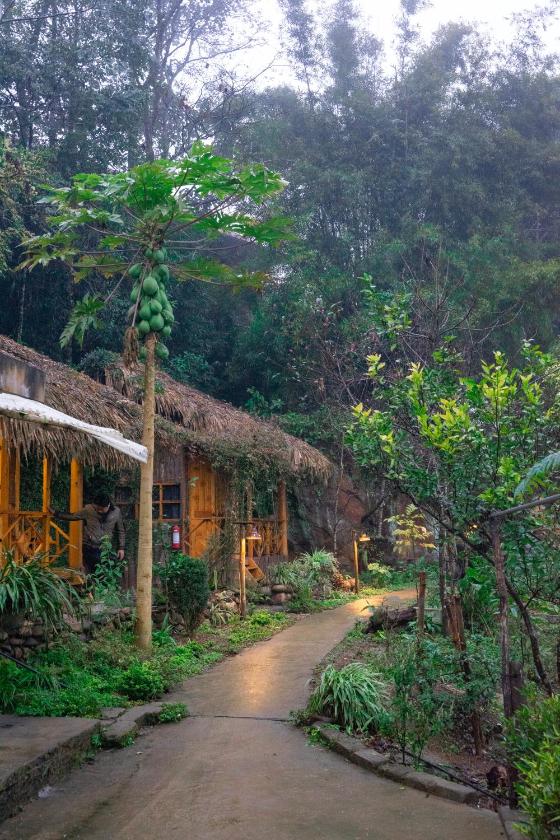 Bungalow với Sân hiên Bungalow với Sân hiên