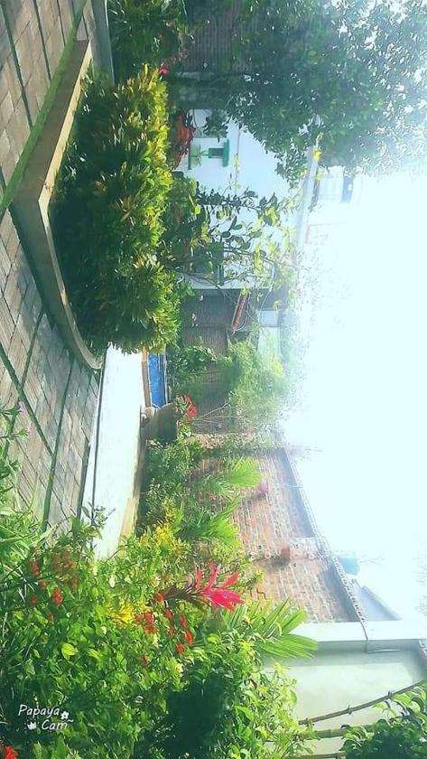 Phòng Gia Đình Tiêu Chuẩn Phòng Gia Đình Tiêu Chuẩn