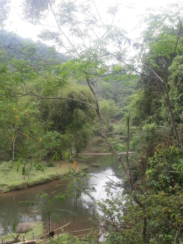 Phòng Giường Đôi/2 Giường Đơn Nhìn Ra Vườn