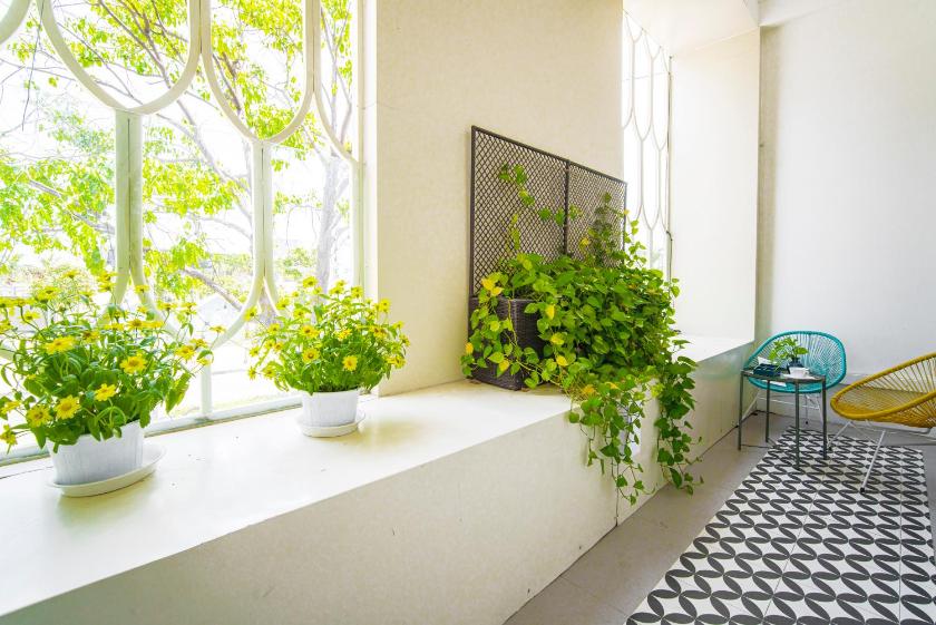 Phòng Deluxe Giường Đôi Có Ban Công