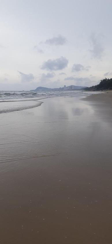 Căn Hộ Nhìn Ra Hồ Bơi 