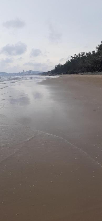 Căn Hộ Nhìn Ra Hồ Bơi 