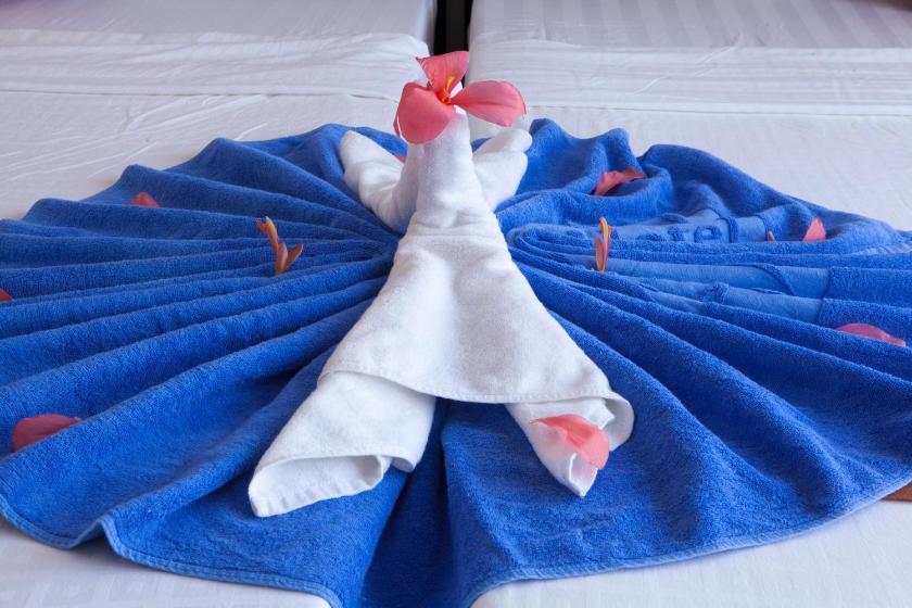 Phòng Tiêu Chuẩn Giường Đôi/2 Giường Đơn Phòng Tiêu Chuẩn Giường Đôi/2 Giường Đơn