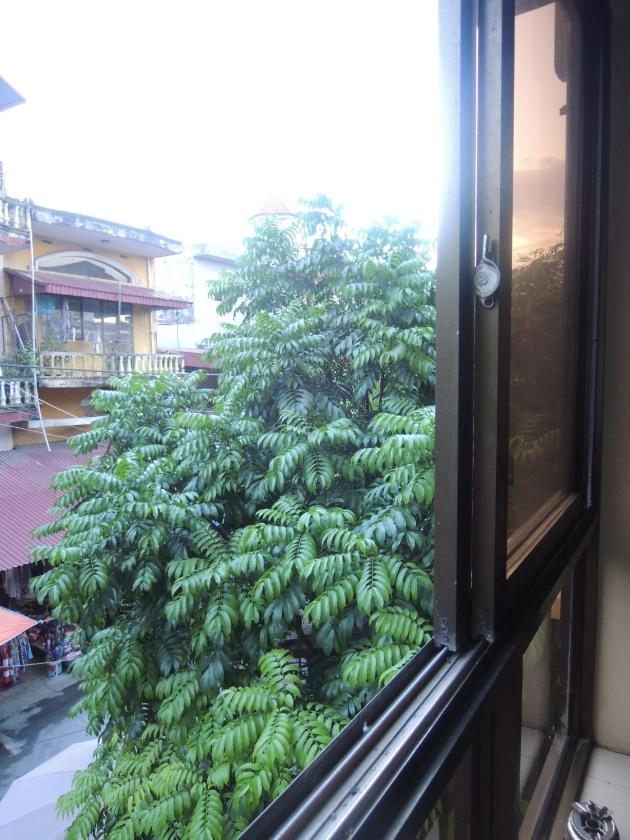 Phòng 2 Giường Đơn Nhìn Ra Thành Phố