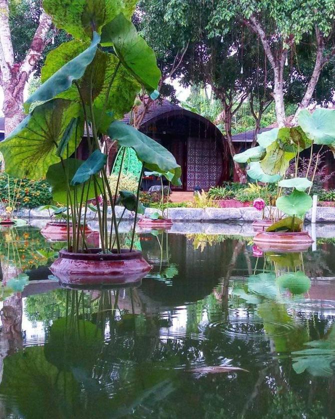 Bungalow Gia Đình Bungalow Gia Đình