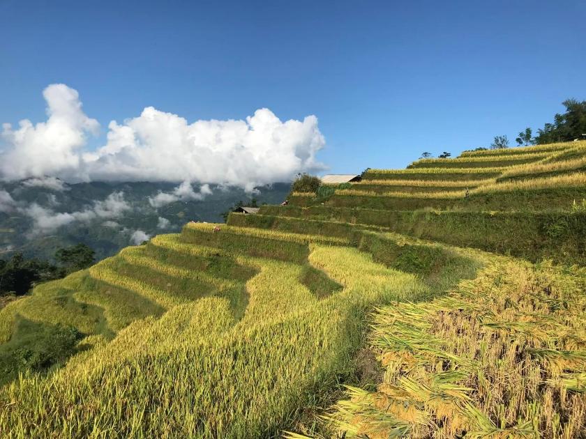 Phòng Giường Đôi Nhìn Ra Núi