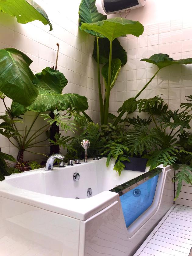 Căn Hộ Với Phòng Xông Hơi Khô Căn Hộ Với Phòng Xông Hơi Khô